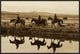 Cowboys and A Cowgirl Riding Horses Beside Pond, Oregon, Sepia, 30"x20"