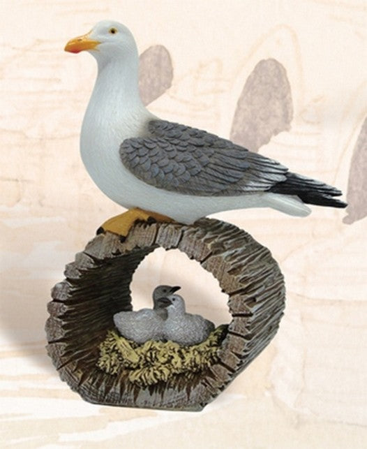 Seagull With Bird Nest