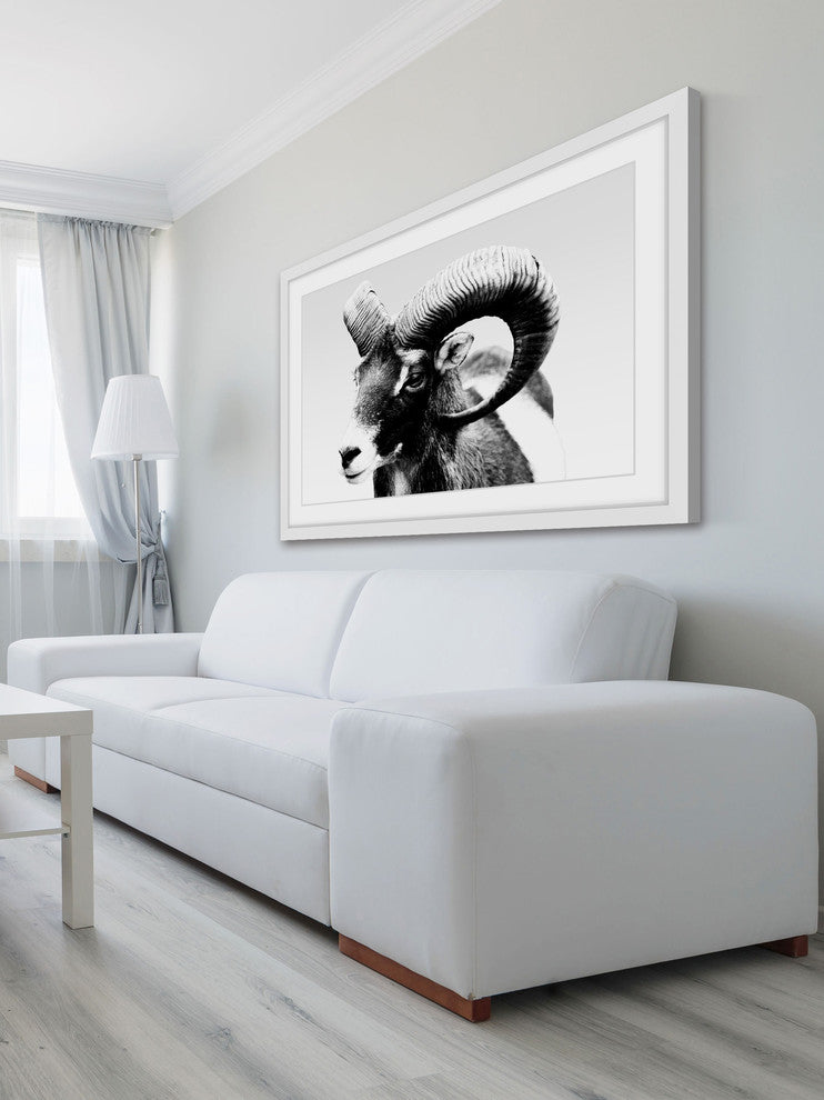 Marmont Hill, "Ram Forward" Framed Painting Print, 18x12