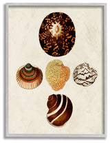 Antique Round Patterned Nautical Sea Shell Vintage,1pc, each 16 x 20