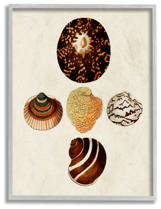 Antique Round Patterned Nautical Sea Shell Vintage,1pc, each 16 x 20