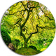 Amazing Green Tree, Photography Round Metal Wall Art, 11"