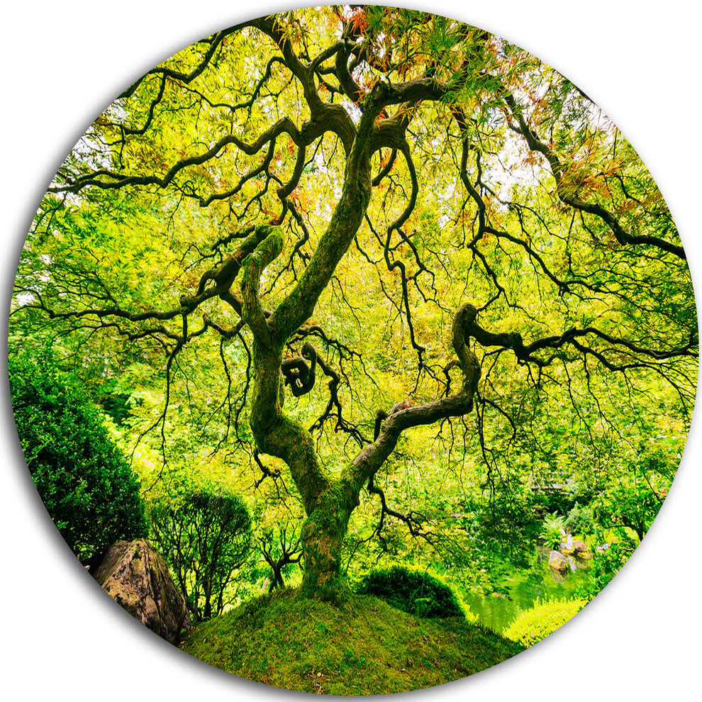 Amazing Green Tree, Photography Round Metal Wall Art, 11"