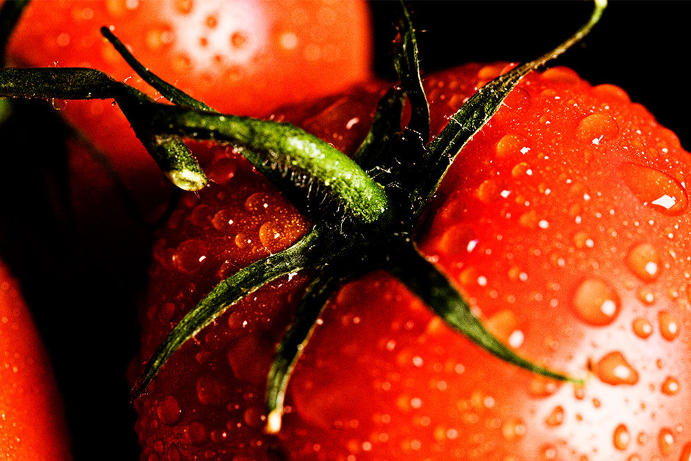 "La Tomatina" Wood, 40"x60"