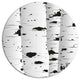 Birch Tree Black And White Texture, Landscape Disc Metal Wall Art, 23"