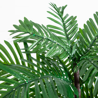Close-up of leaves on a white background.