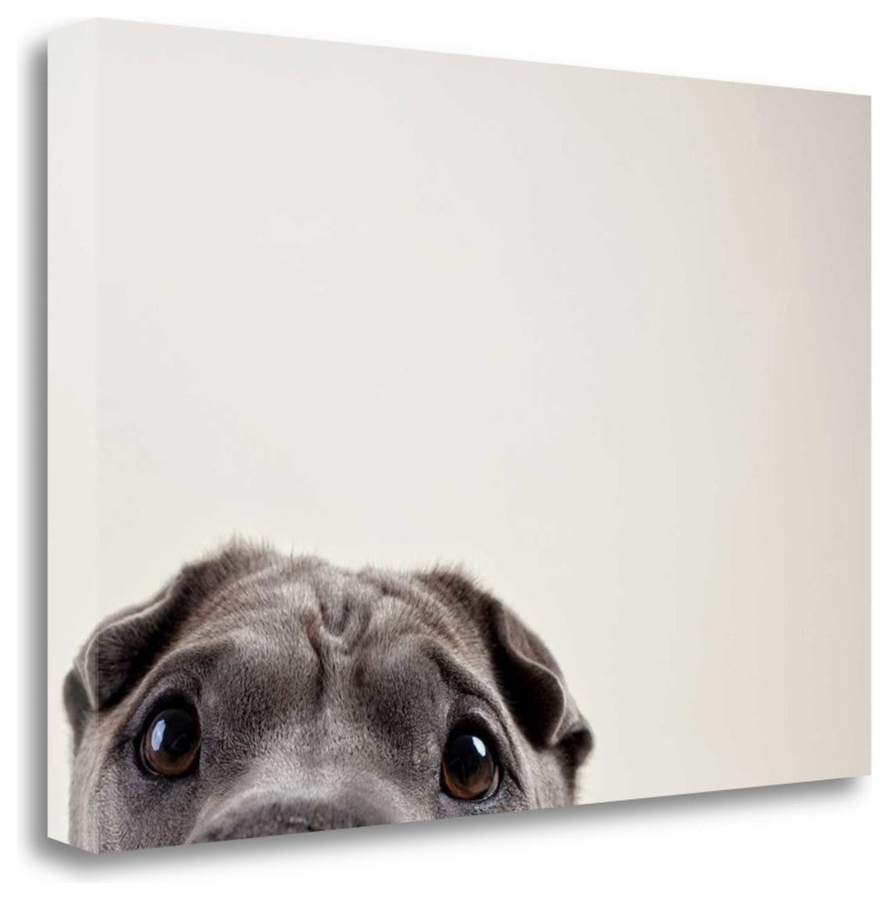 "Peleis Eyes" By Susan Sabo, Giclee Print on Gallery Wrap Canvas, Ready to Hang