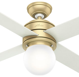 Hunter 44" Hepburn Modern Brass Ceiling Fan With Light Kit and Wall Control