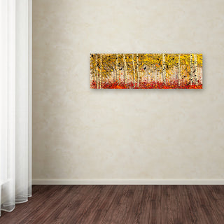 'Fall Pano Aspens' Canvas Art by Roderick Stevens