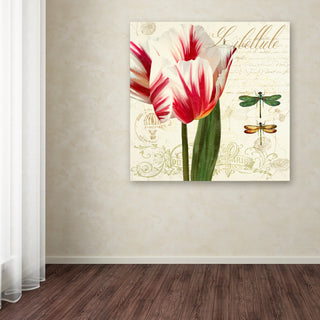 Tina Lavoie 'Natural History Sketchbook I' Canvas Art, 14" x 14"