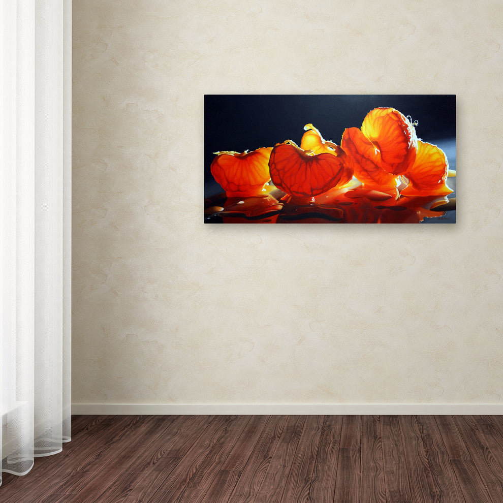 'Mandarin Orange' Canvas Art by Cecile Baird