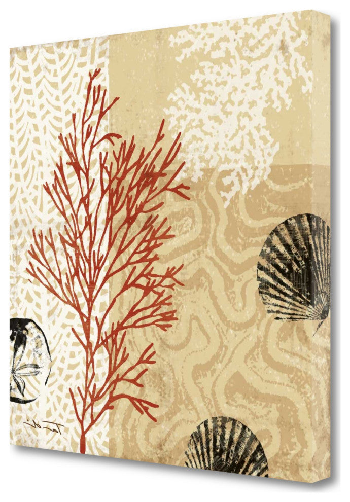 24" Underwater Coral With Seashells and Sandollar 2 Giclee Wrap Canvas Wall Art