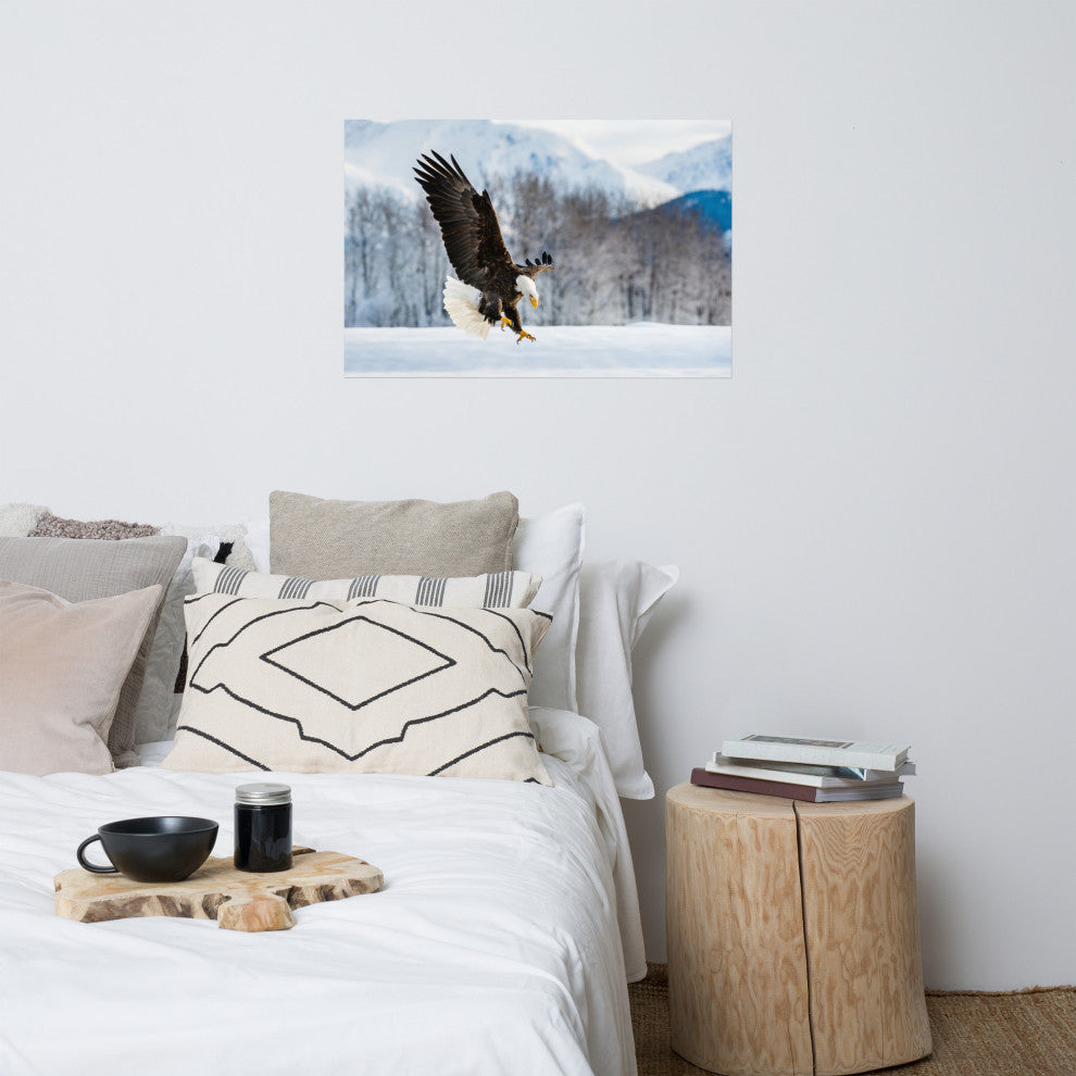 Adult Bald Eagle Alaskan Winter Animal Wildlife Photograph Loose Wall Art Print, 24" X 36"