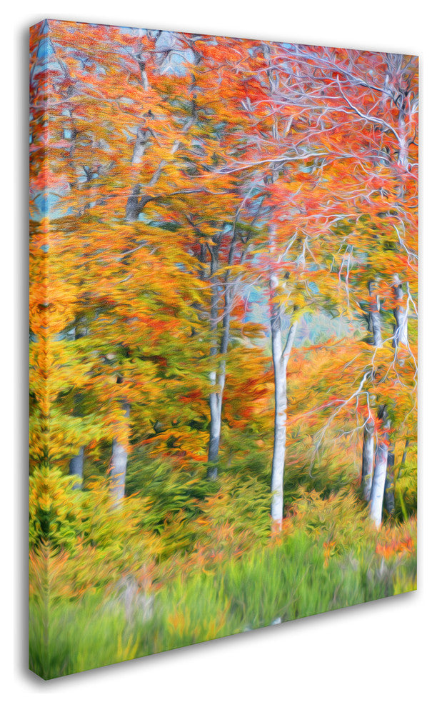 ''The Line it Curves'' Canvas Art by Philippe Sainte-Laudy