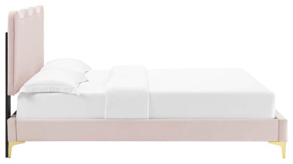 Current Performance Velvet Queen Platform Bed, Pink