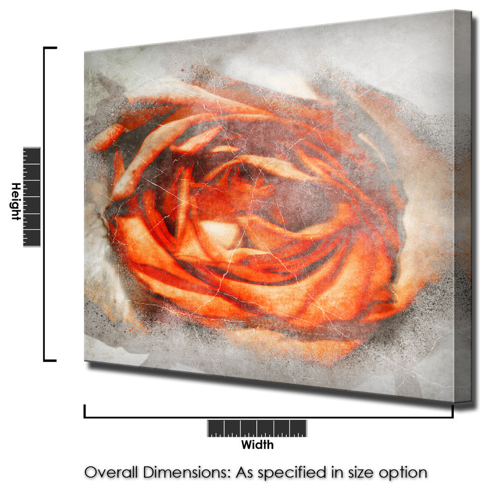 Born2BWild III Canvas Wall Art, 16"x16"