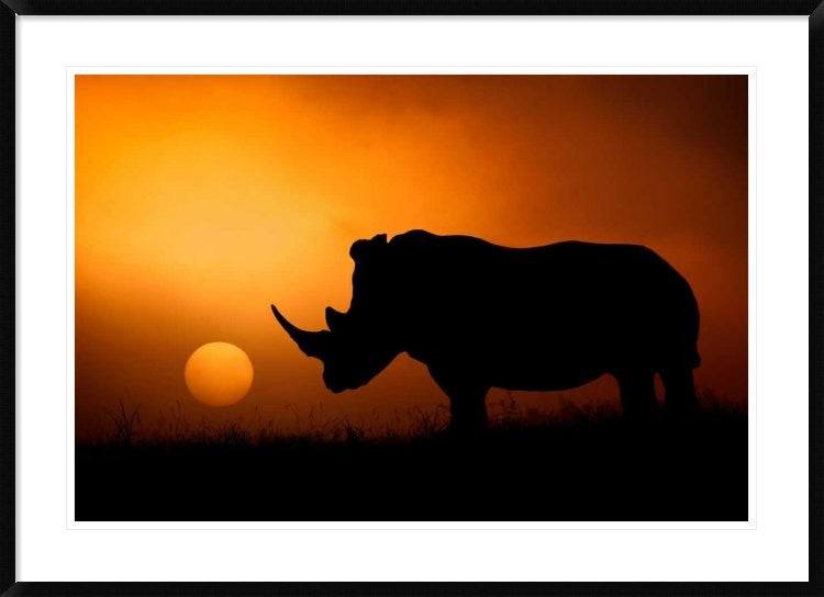 "Rhino Sunrise" Framed Digital Print by Mario Moreno, 44x32"