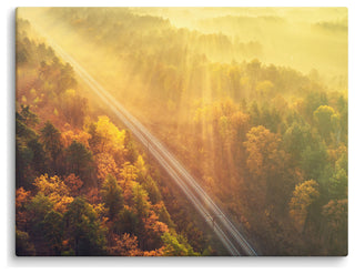 Sunrise Railroad Misty Forest Golden Haze Landscape Photo Canvas Art Print, 18" X 24"