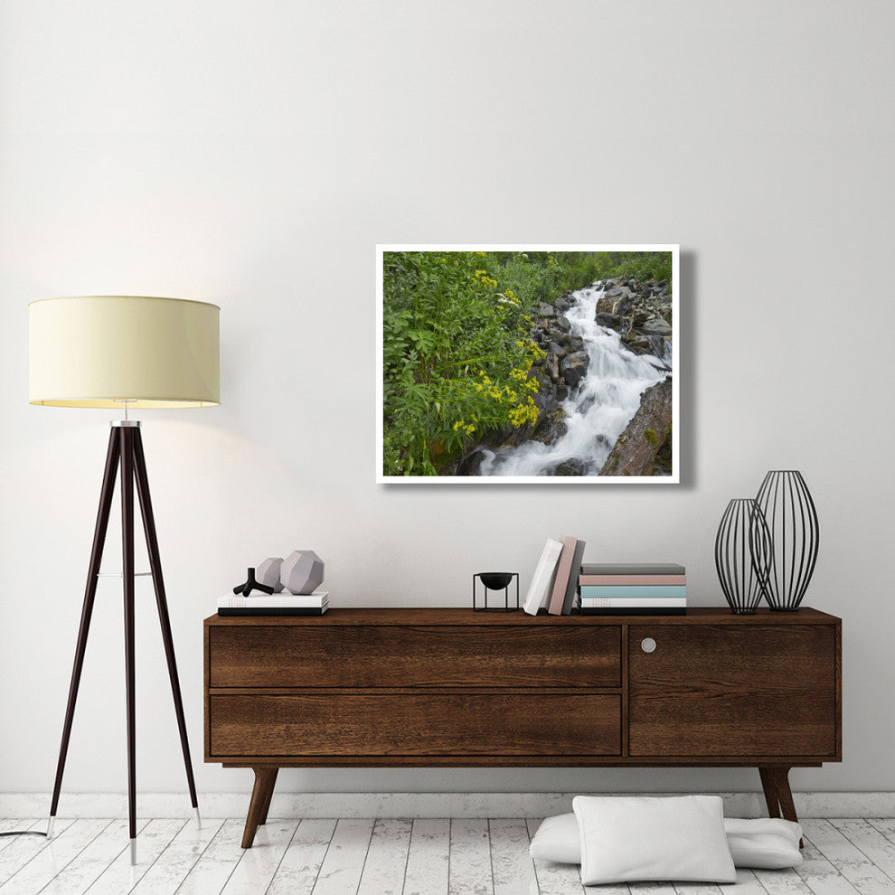 "Creek near Silverton, Colorado" Digital Paper Print by Tim Fitzharris, 42"x32"