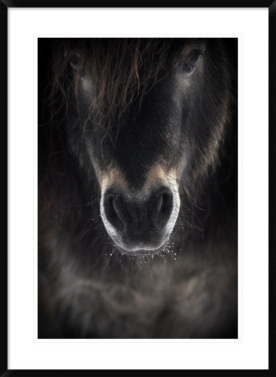 "Ulysses" Framed Digital Print by P R I, 28"x38"