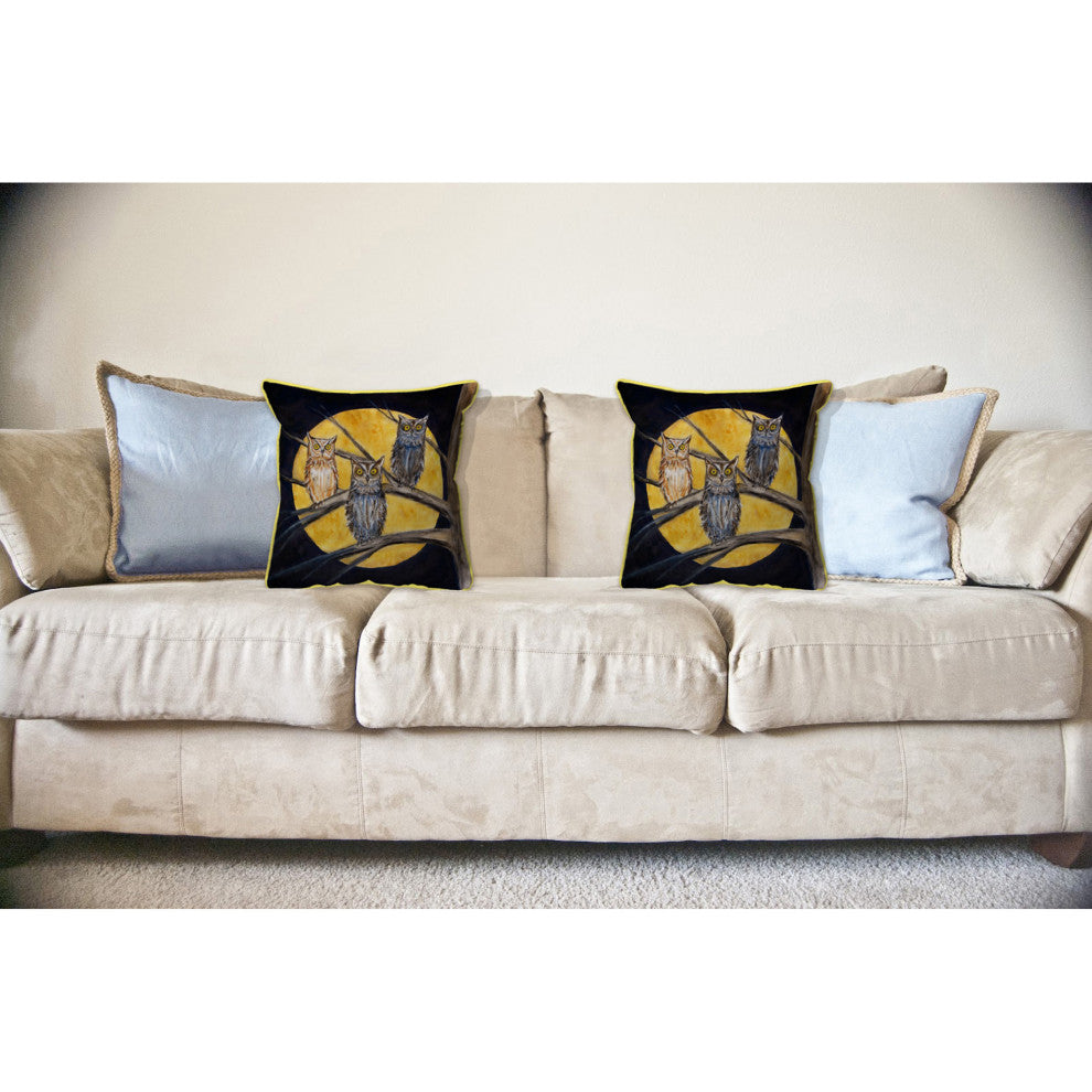 Night Owls Large Indoor/Outdoor Pillow 18x18