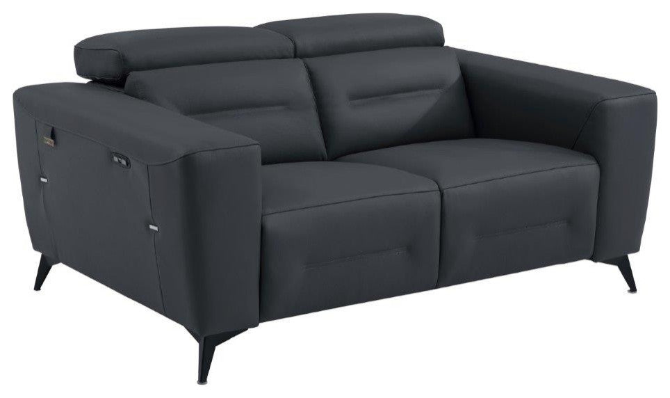 Arezzo Genuine Italian Leather Modern Loveseat, Dark Gray