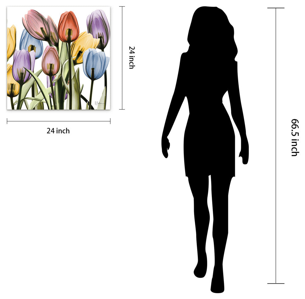 Tulip Scape X-Ray II Flower Wall Art on Frameless Free Floating Tempered Glass