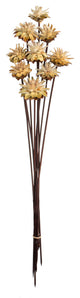 Vickerman 20" Plumosum Head attached to a Brown Stem, Dried 9 Stems