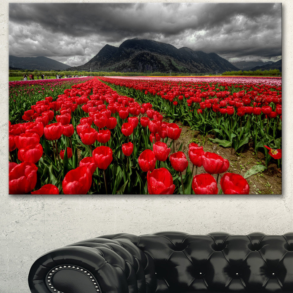 Rows of Bright Ruby Red Tulips, Large Landscape Canvas Art, 60"x28"