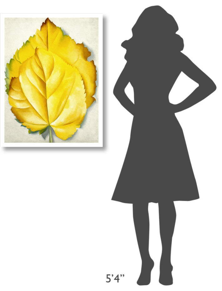 "2 Yellow Leaves (Yellow Leaves), 1928" Print by Georgia O'Keeffe, 25"x32"