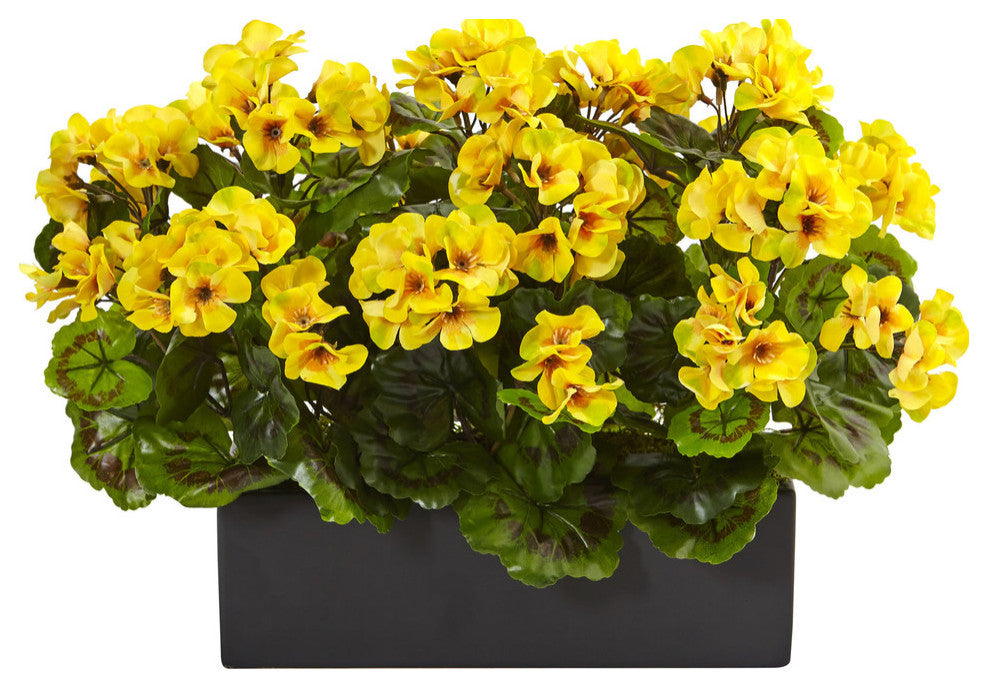 Geranium, Rectangular Planter UV Resistant
