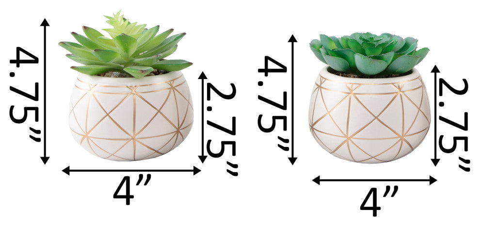 Set Of 2 Succulent In 4" Geo Gold Round Ceramic