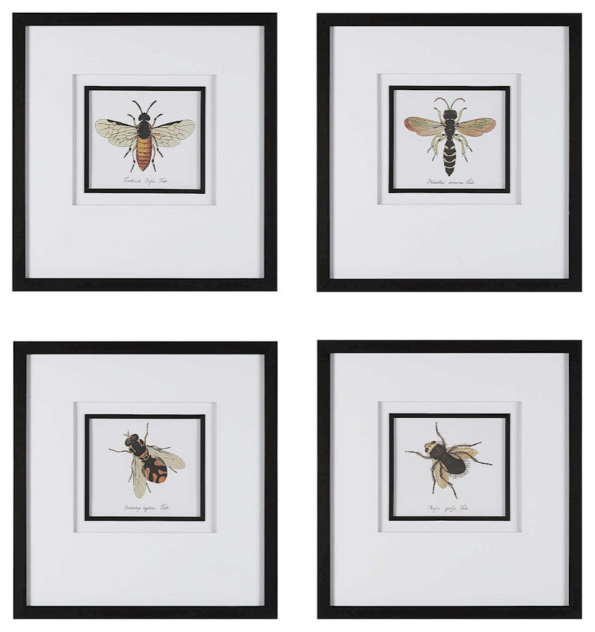Uttermost Anthophila Framed Prints, Set of 4
