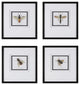 Uttermost Anthophila Framed Prints, Set of 4