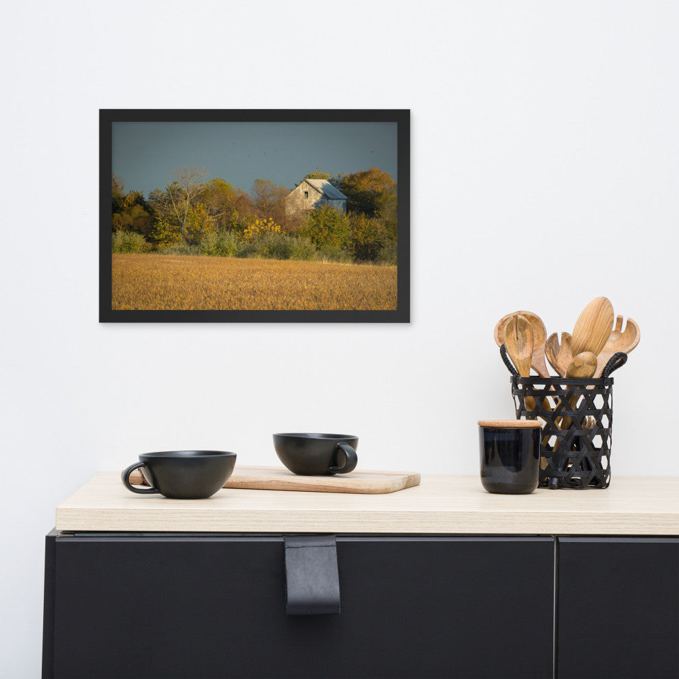 Abandoned Barn In The Trees Framed Photo Paper Wall Art Prints, Black, 12" X 18"