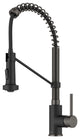 Bolden Commercial Style 2-Function Pull-Down 1-Handle 1-Hole Kitchen Faucet, Matte Black/ Stainless Black