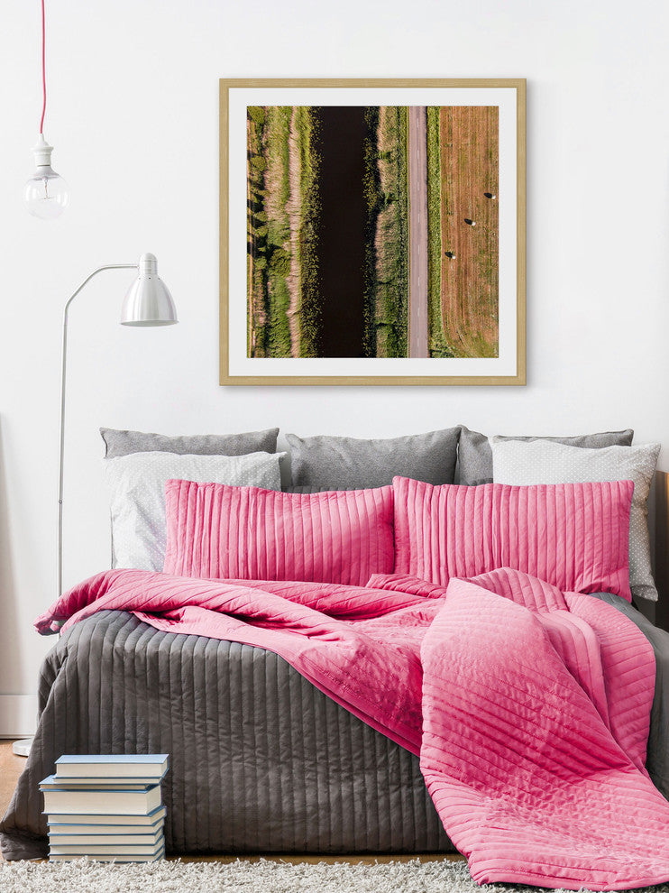 "Secret Between The Rows" Framed Print by Karolis Janulis