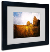 'Light in Vineyards' Matted Framed Canvas Art by Philippe Sainte-Laudy