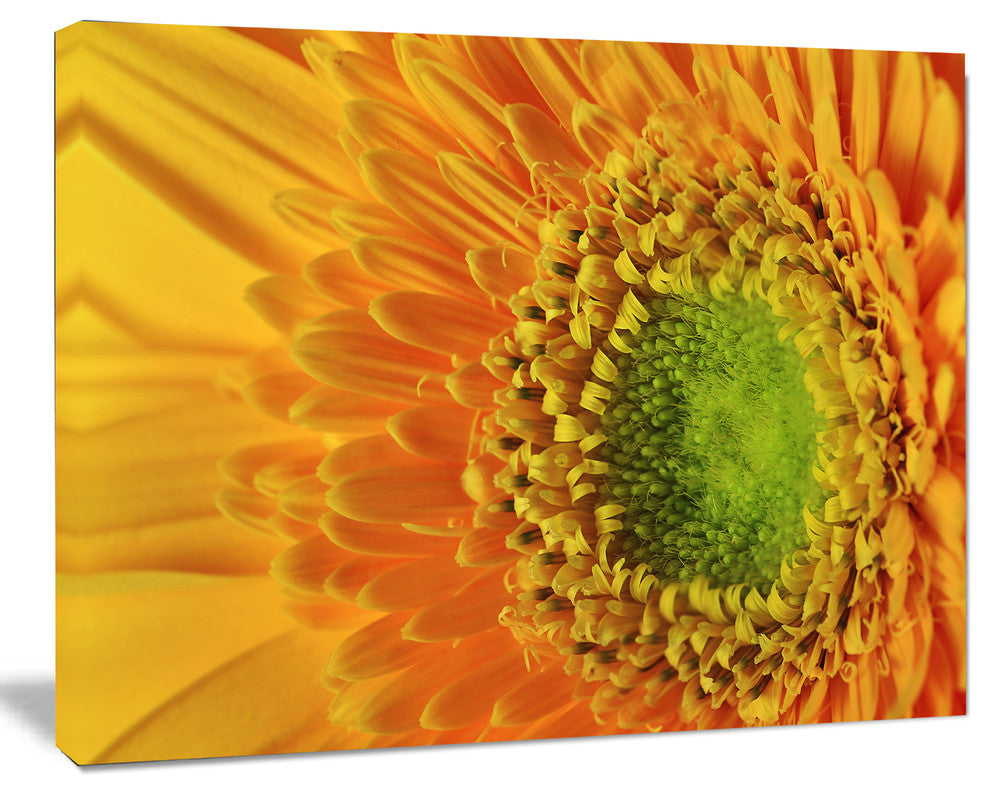 Yellow Daisy Gerbera Flower Close up, Flowers Canvas Wall Artwork, 40"x30"