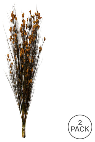 Vickerman 15-20" Natural Bell Grass with Seed Pods, Preserved, Aspen Gold, 36-40"