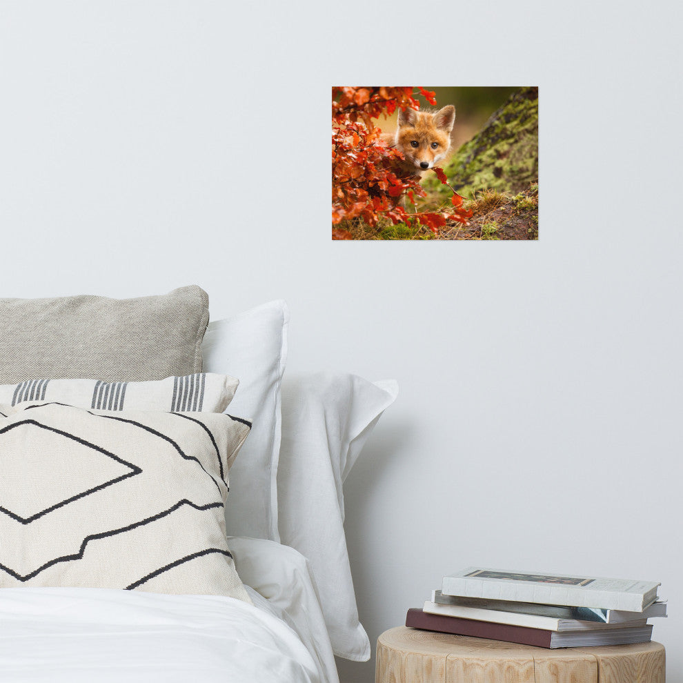 Baby Red Fox Face and Autumn Leaves Animal Wildlife Photo Loose Wall Art Print, 12" X 16"