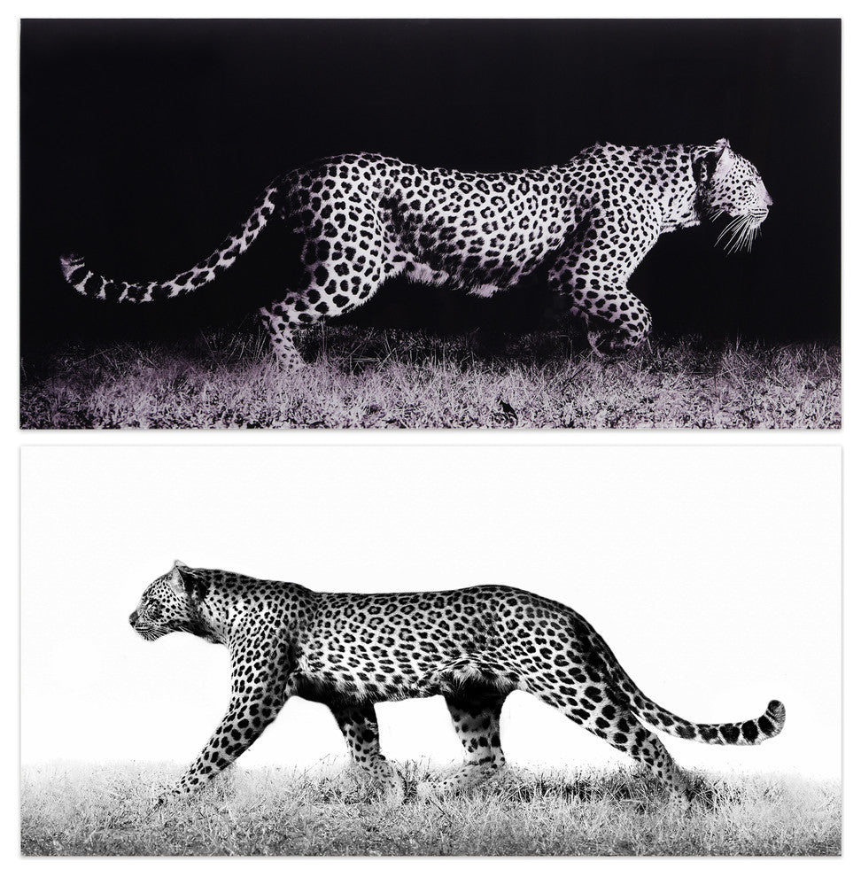 Leopard Glass Wall Art Frameless Free Floating Tempered Glass Print