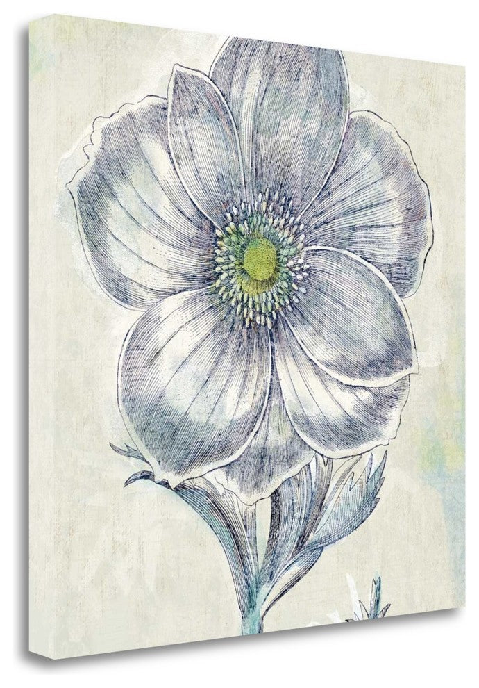 "Belle Fleur II" By Sue Schlabach, Giclee Print on Gallery Wrap Canvas