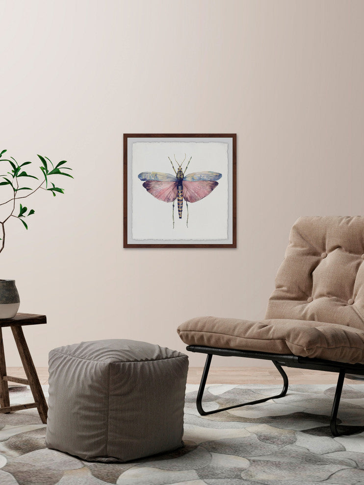 "Pink and Blue Wings" Framed Painting Print, 12"x12"