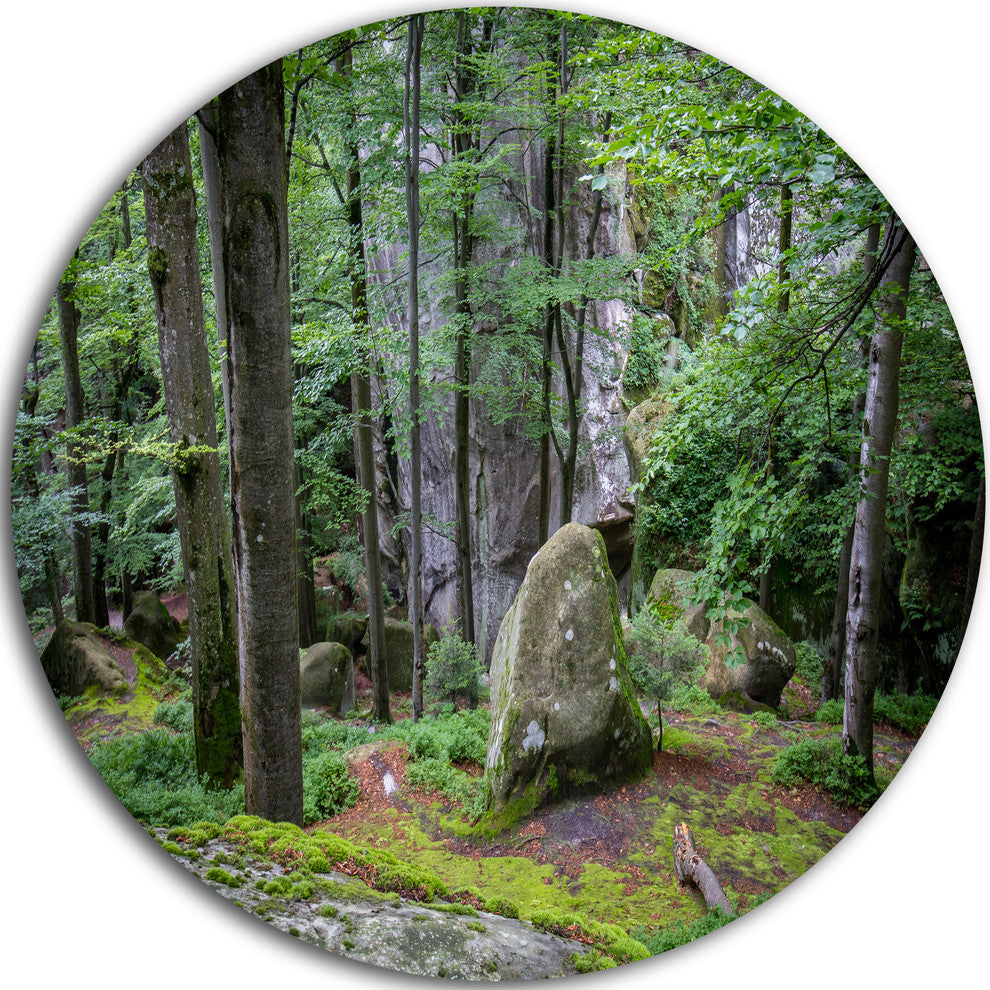 Dense Moss Forest In Green, Landscape Disc Metal Wall Art, 11"