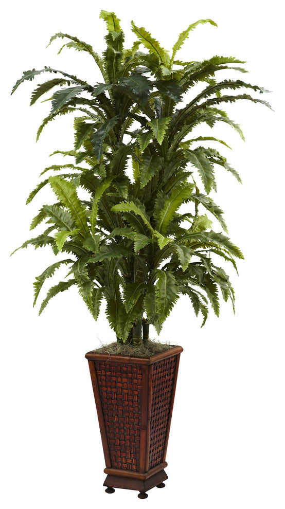 Marginatum With Decorative Planter
