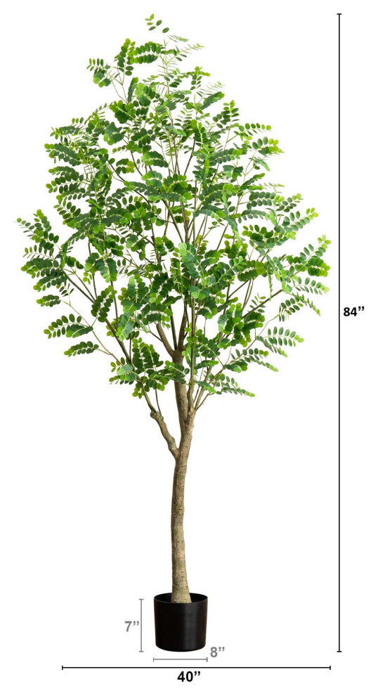 Instructional image showing measurements/dimensions beside the plant.
