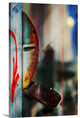 "Watcher" Wrapped Canvas Art Print, 16"x24"x1.5"