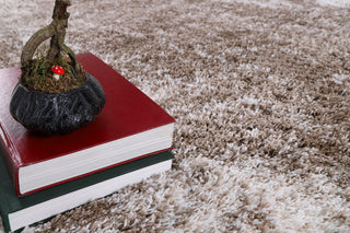 Noori Rug Shag Ridley Brown/Beige Rug