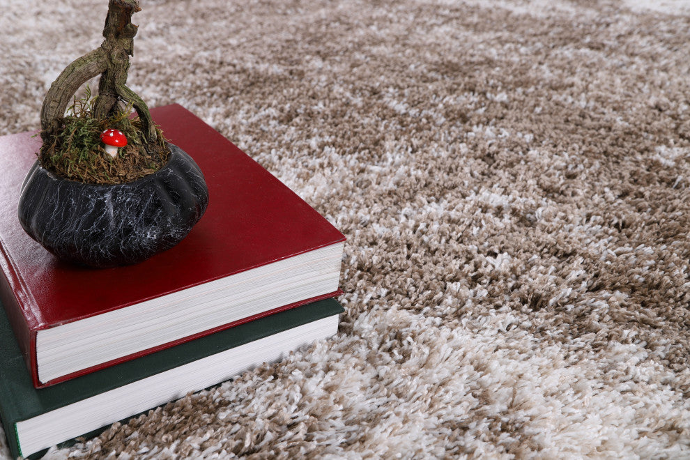 Noori Rug Shag Ridley Brown/Beige Rug